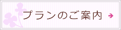 プランのご案内