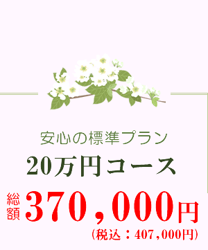安心の標準プラン 20万円コース 総額363,000円